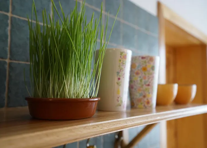 Martin's Hidden Garden *