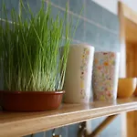 Martin's Hidden Garden *